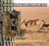 Best Wireless Trail Camera Cellular Hunting Cam