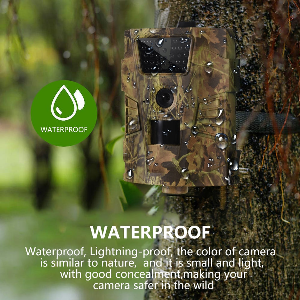 Best Wireless Trail Camera Cellular Hunting Cam