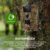 Best Wireless Trail Camera Cellular Hunting Cam