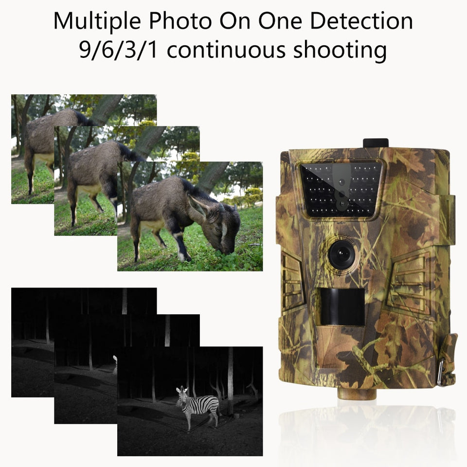 Best Wireless Trail Camera Cellular Hunting Cam